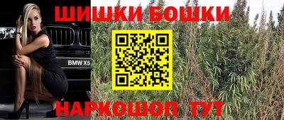 гидра Тулун