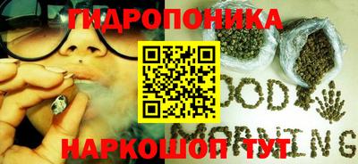 гидра Тулун