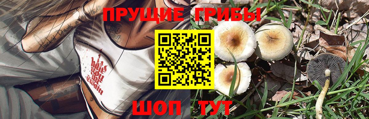 Первоуральск  Галлюциногенные грибы мухоморы  Вход с VPN 
